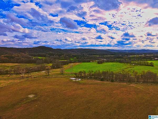 381 Acres of Agricultural & Residential Land for Sale in Blountsville, Alabama
