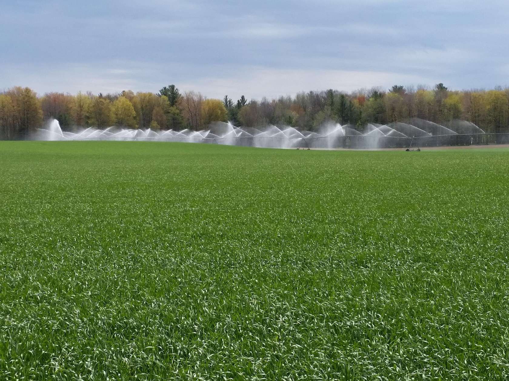 70 Acres of Land for Sale in Kaleva, Michigan