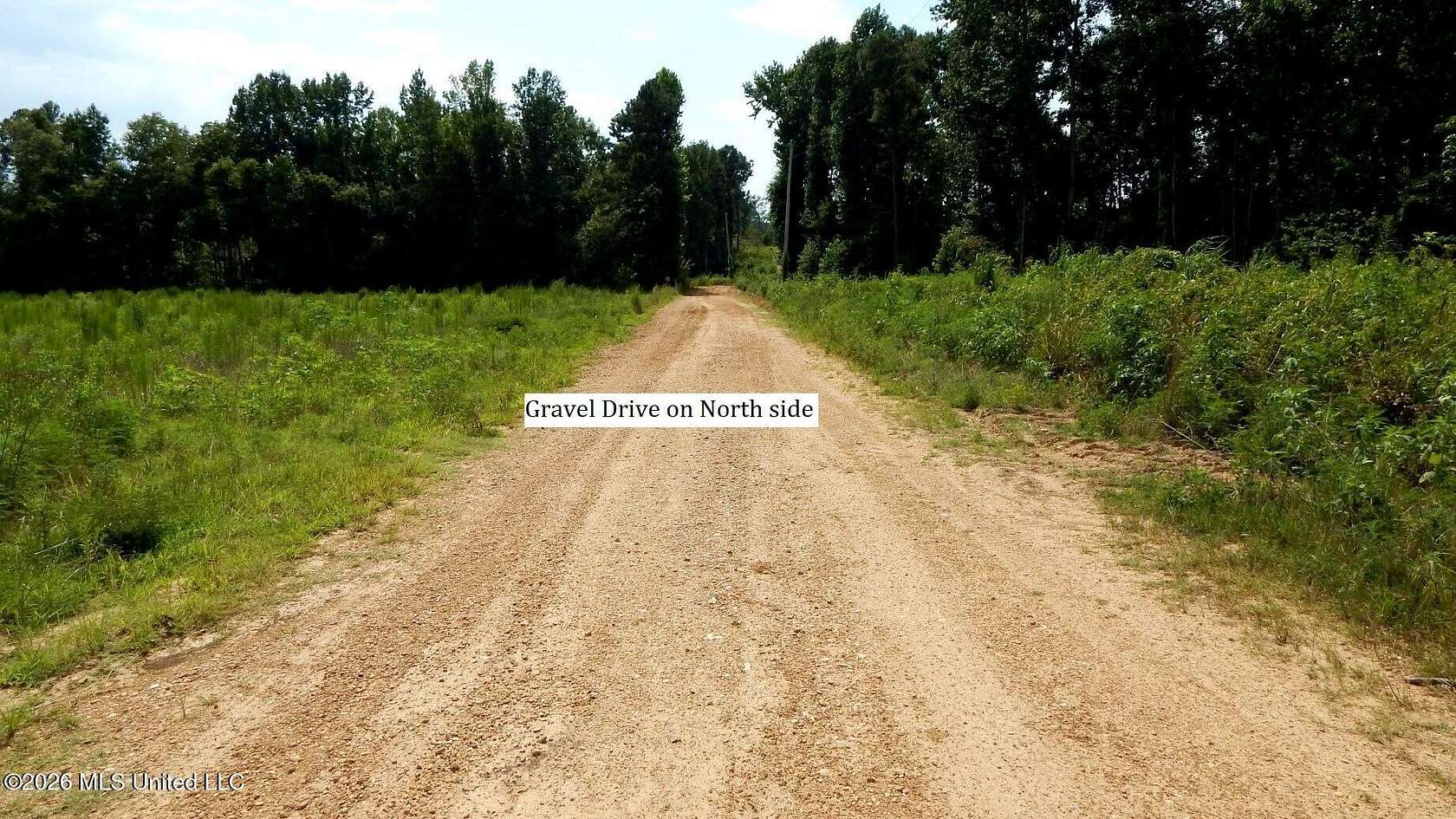 53.7 Acres of Recreational Land for Sale in Bruce, Mississippi