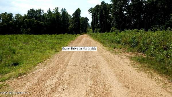 53.7 Acres of Recreational Land for Sale in Bruce, Mississippi