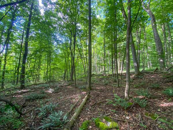 10.1 Acres of Recreational & Residential Land for Sale in New Haven, Vermont