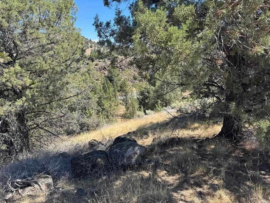 0.27 Acres of Land for Sale in Weed, California