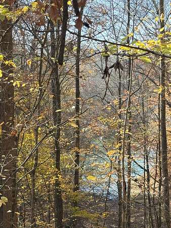 8 Acres of Residential Land for Sale in Estill Springs, Tennessee