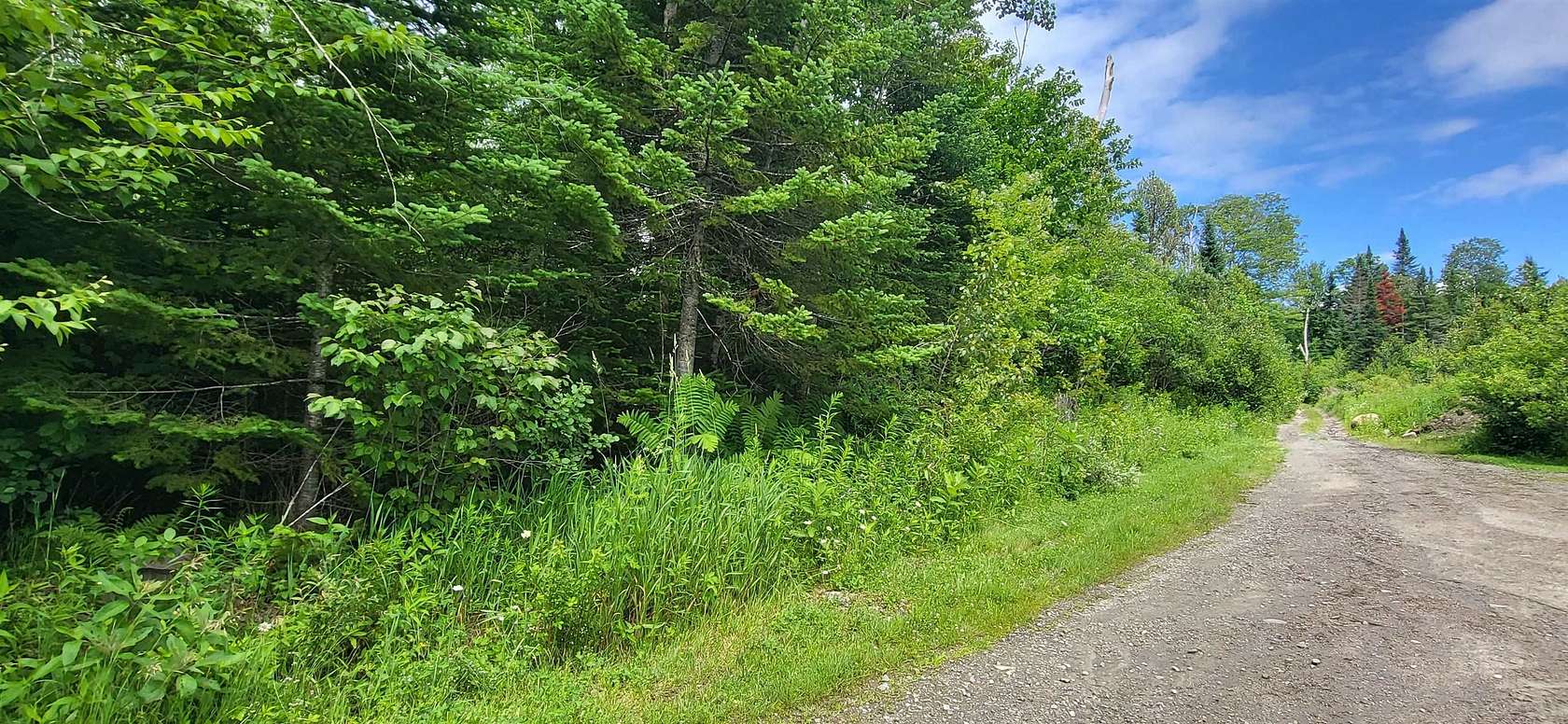 38.6 Acres of Recreational & Residential Land for Sale in Lunenburg, Vermont