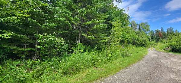 38.6 Acres of Recreational & Residential Land for Sale in Lunenburg, Vermont