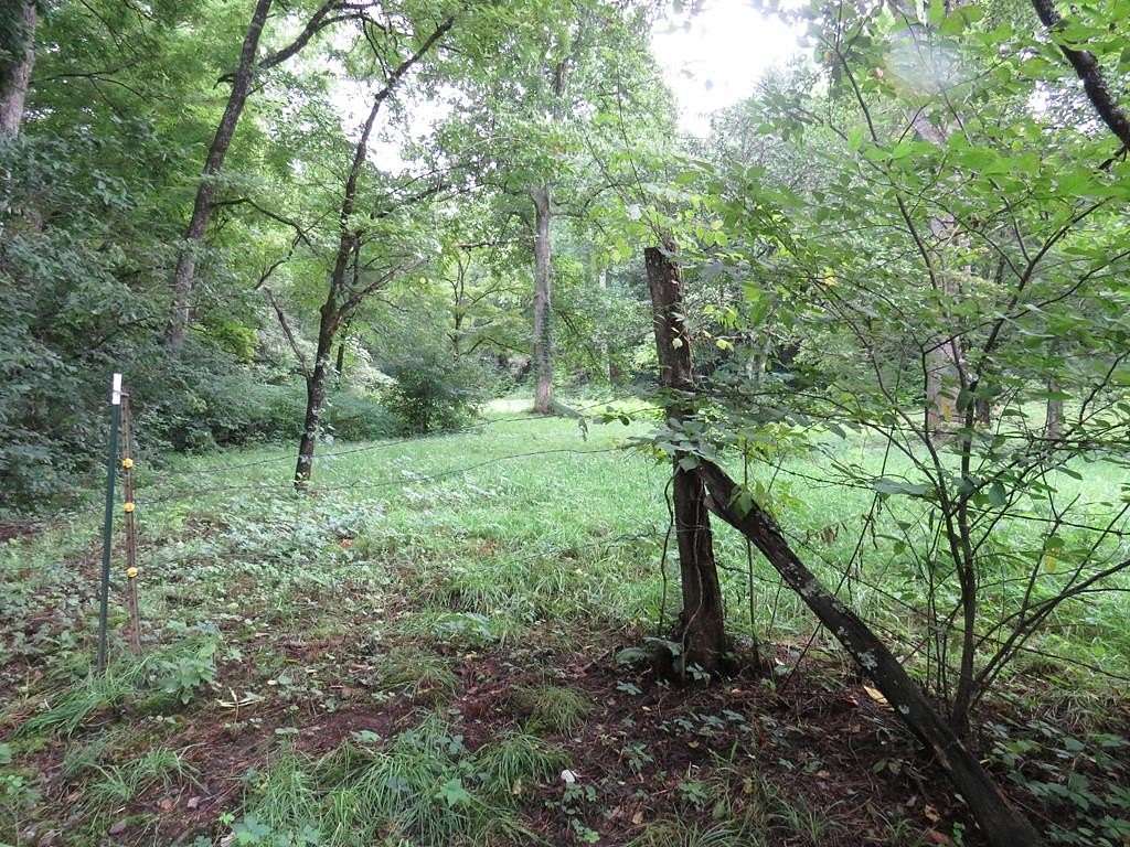 9.19 Acres of Land for Sale in Sylva, North Carolina