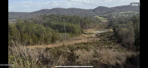 16.8 Acres of Land for Sale in New Market, Tennessee