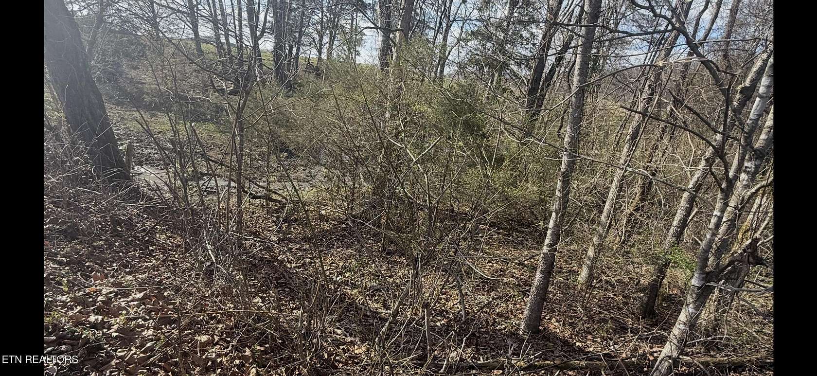 28.4 Acres of Land for Sale in New Market, Tennessee