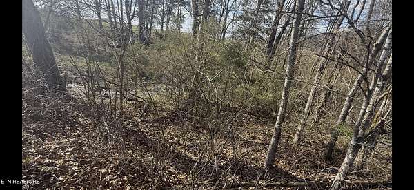28.4 Acres of Land for Sale in New Market, Tennessee