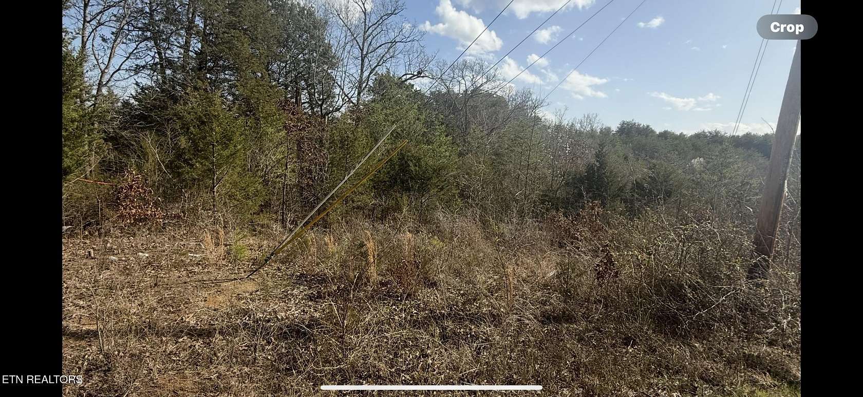 37.5 Acres of Agricultural & Residential Land for Sale in New Market, Tennessee