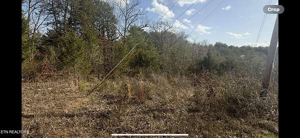 37.5 Acres of Agricultural & Residential Land for Sale in New Market, Tennessee