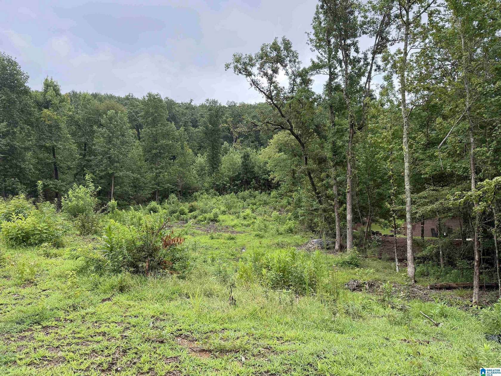 1.85 Acres of Residential Land for Sale in Birmingham, Alabama