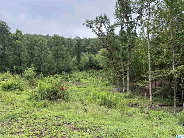 1.85 Acres of Residential Land for Sale in Birmingham, Alabama