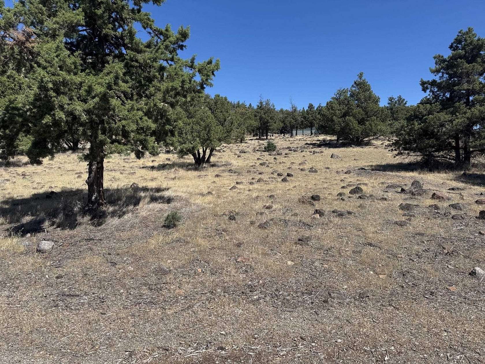 0.18 Acres of Land for Sale in Weed, California