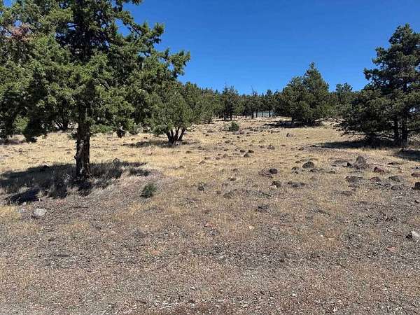 0.18 Acres of Land for Sale in Weed, California
