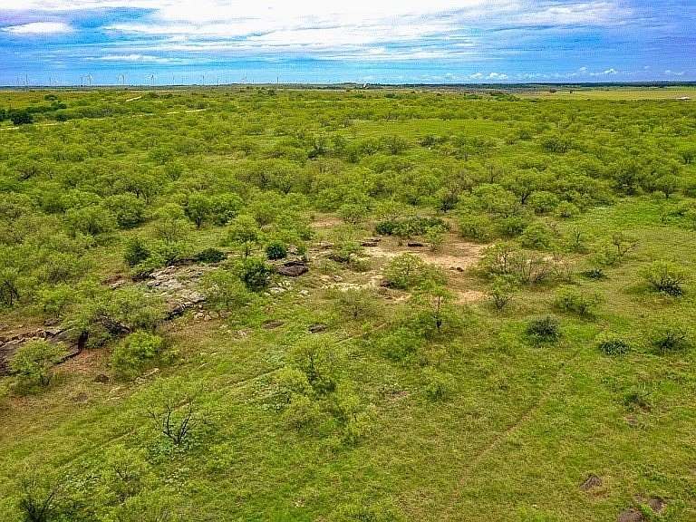 48.5 Acres of Land for Sale in Jacksboro, Texas