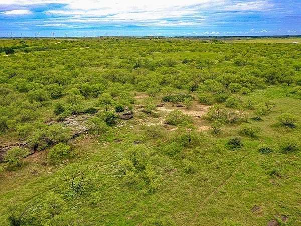 48.5 Acres of Land for Sale in Jacksboro, Texas