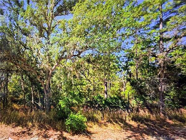 1 Acre of Residential Land for Sale in Beverly Hills, Florida