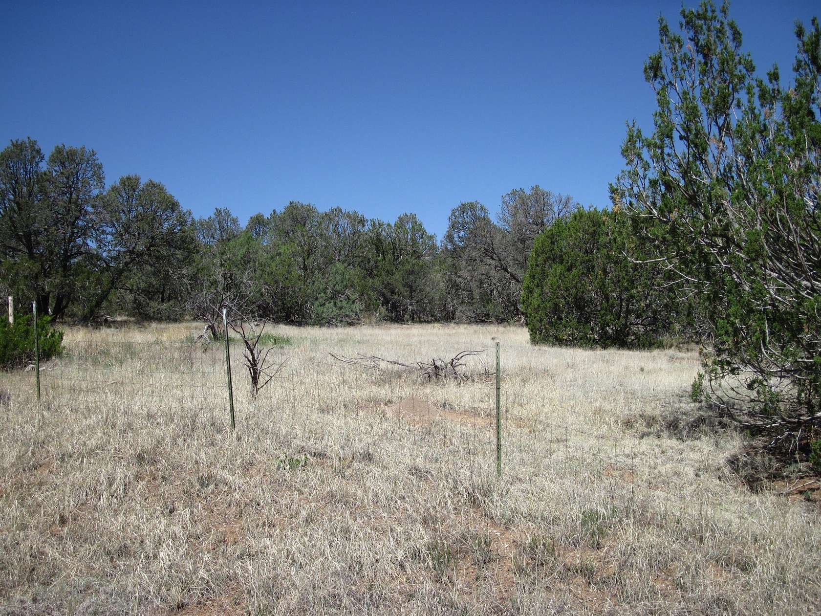 2 Acres of Land for Sale in Edgewood, New Mexico