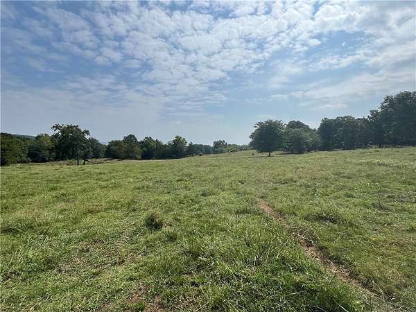 49.8 Acres of Recreational Land for Sale in Danville, Arkansas