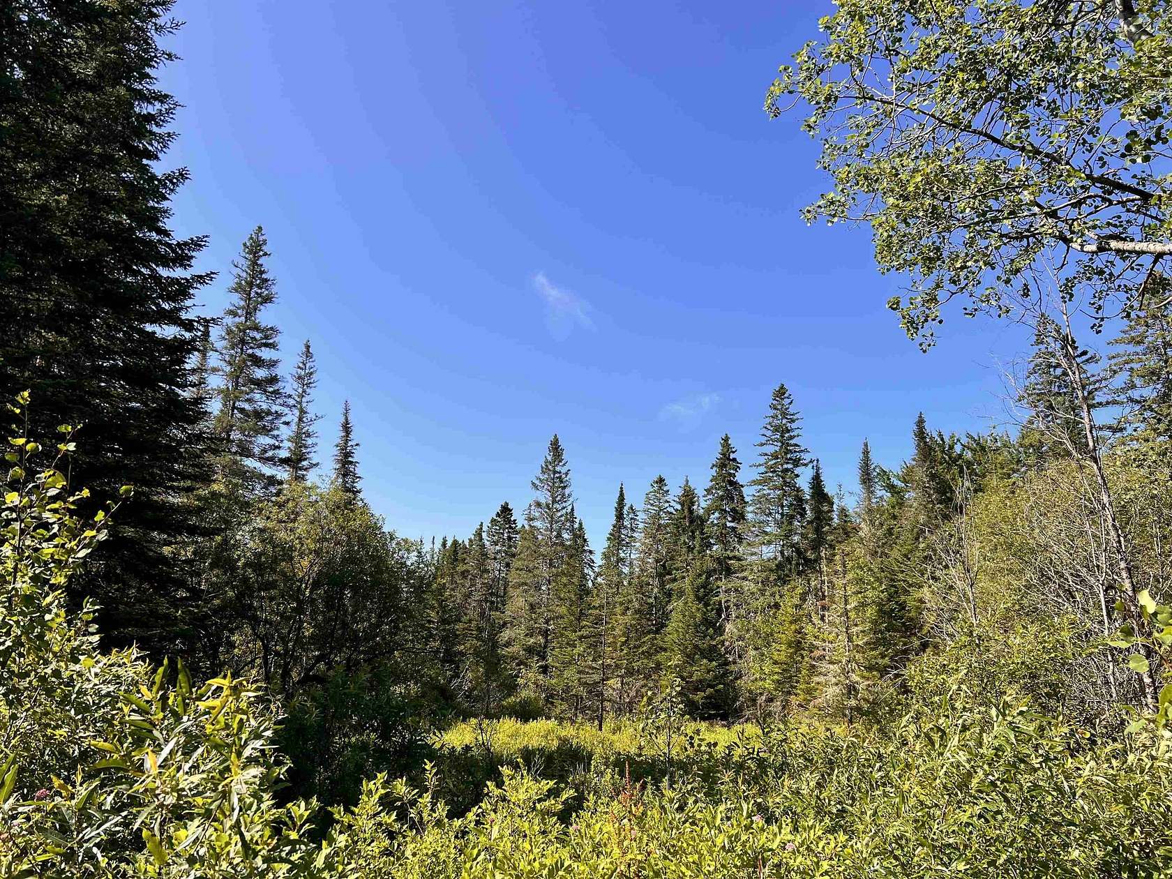35.6 Acres of Recreational Land for Sale in Stewartstown, New Hampshire