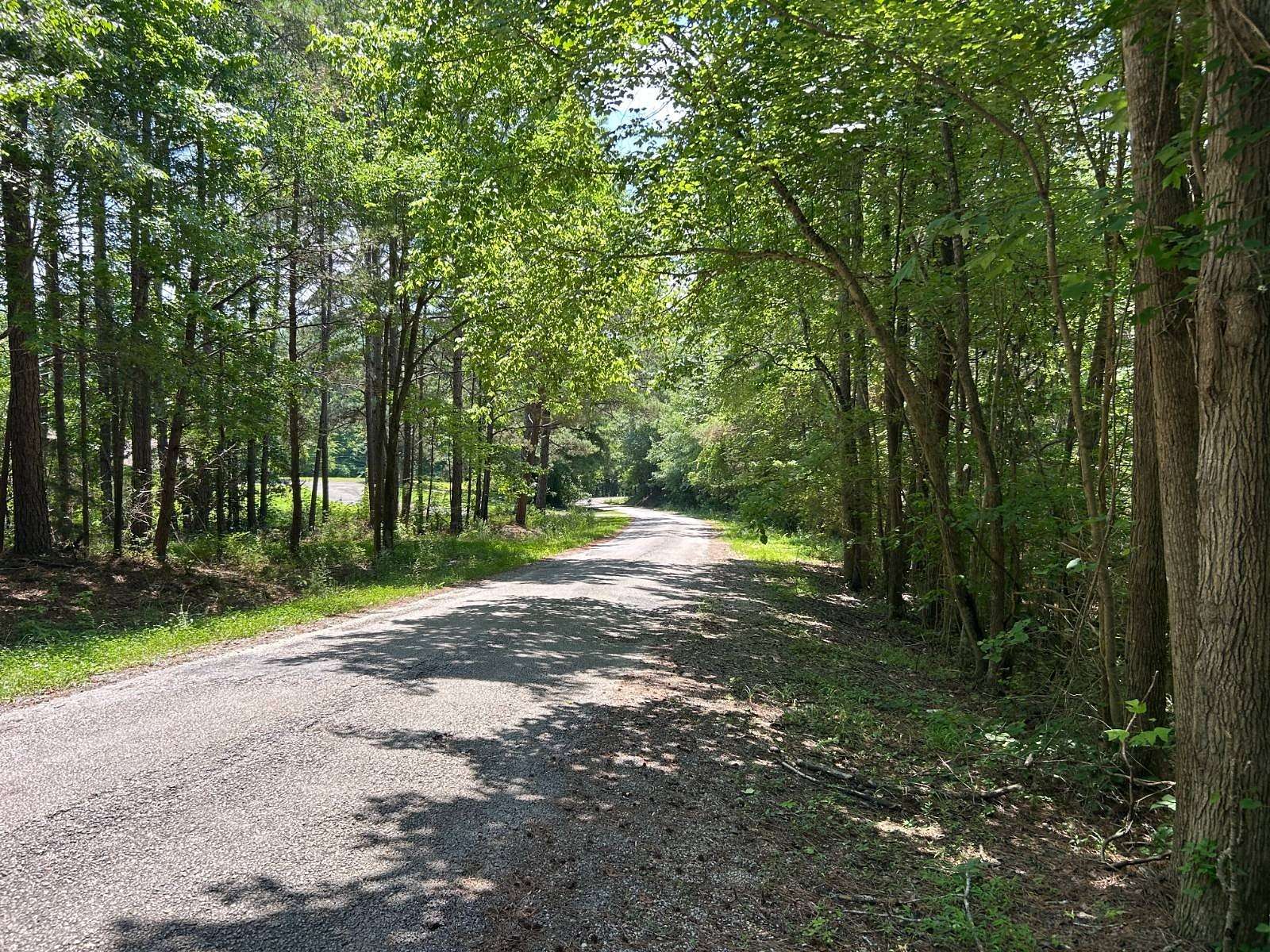Residential Land for Sale in Carbon Hill, Alabama