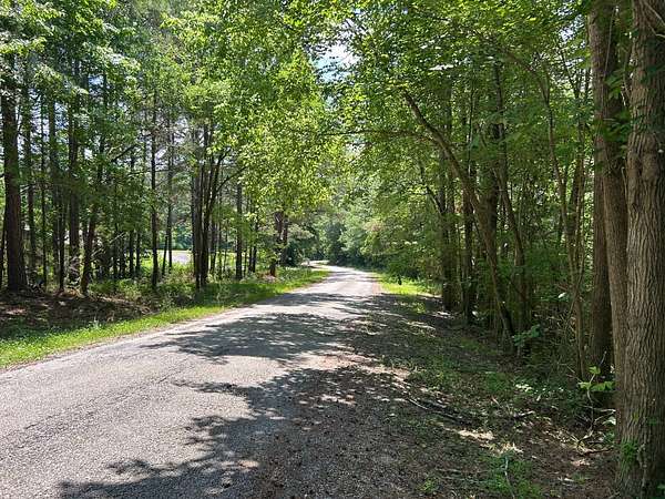 Residential Land for Sale in Carbon Hill, Alabama