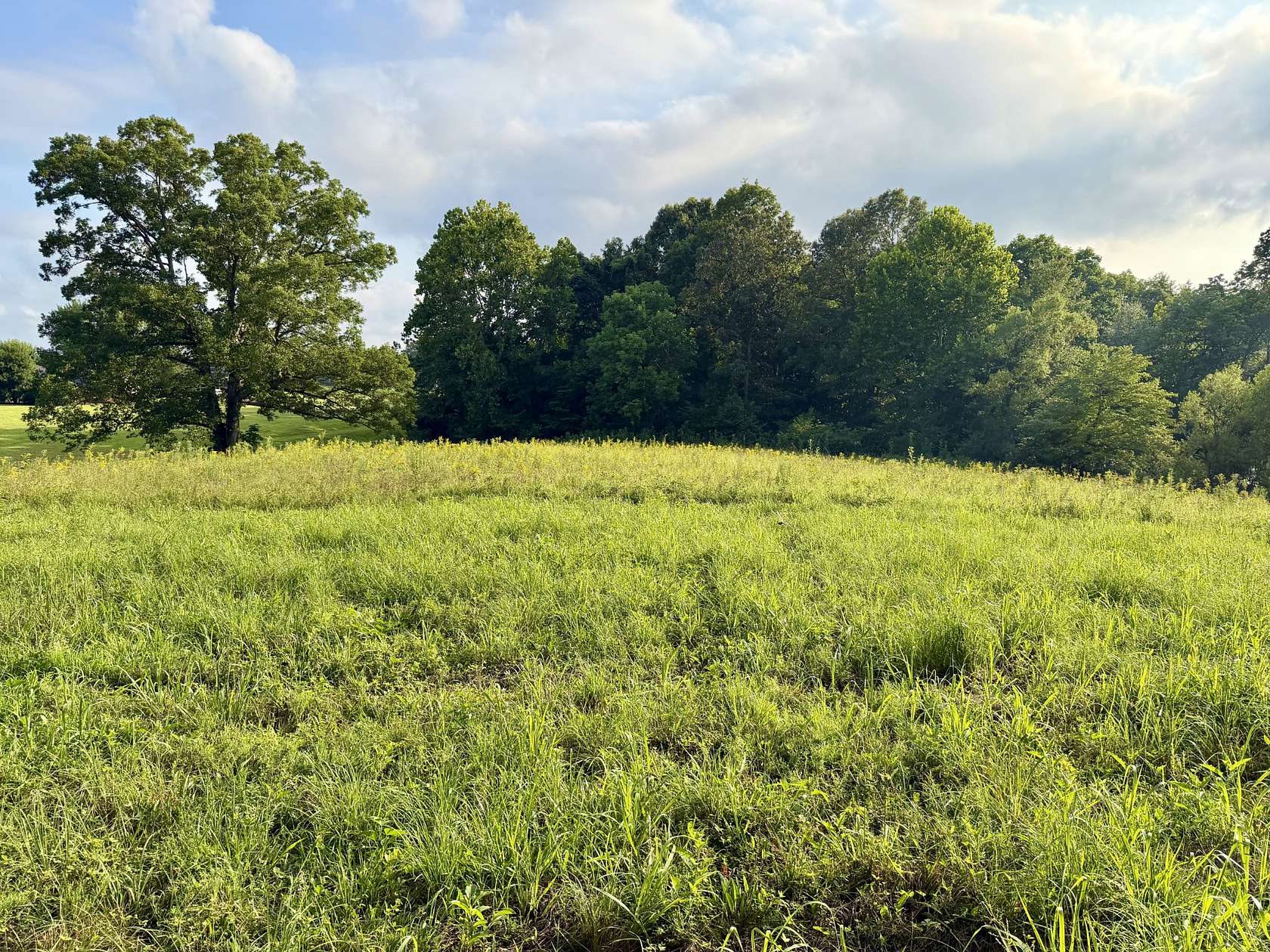 9.54 Acres of Residential Land for Sale in Clarksville, Tennessee