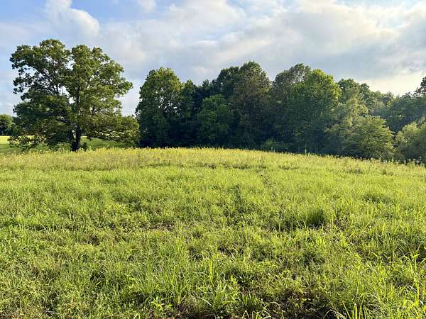 9.54 Acres of Residential Land for Sale in Clarksville, Tennessee