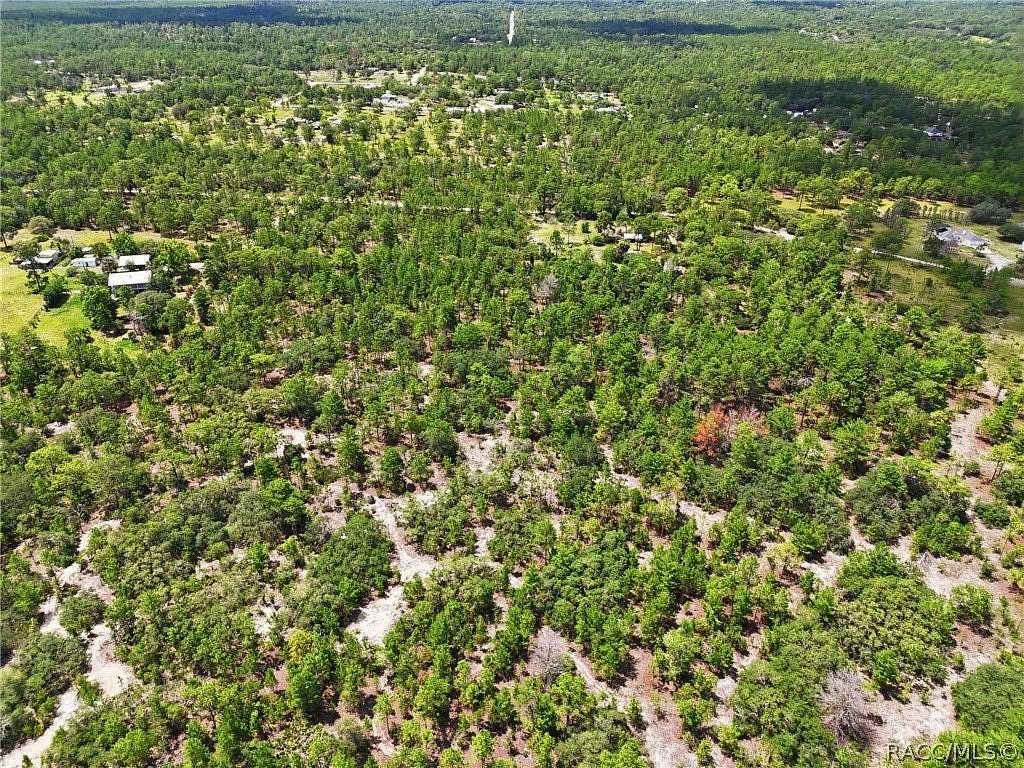 44.8 Acres of Land for Sale in Dunnellon, Florida