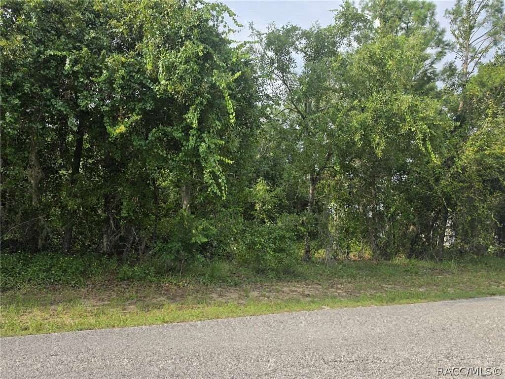 0.96 Acres of Residential Land for Sale in Hernando, Florida