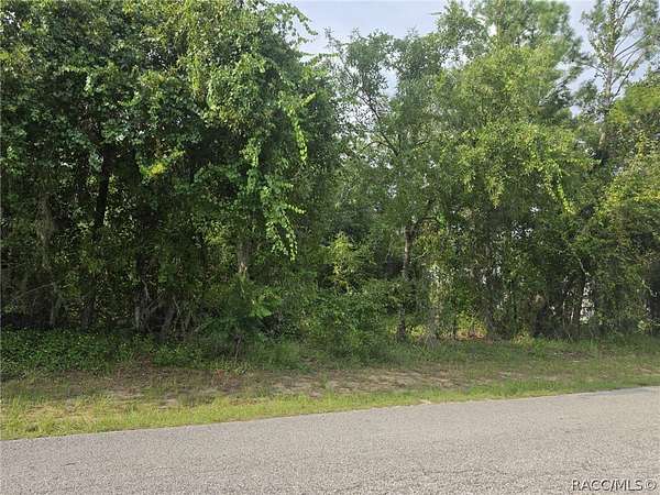 0.96 Acres of Residential Land for Sale in Hernando, Florida