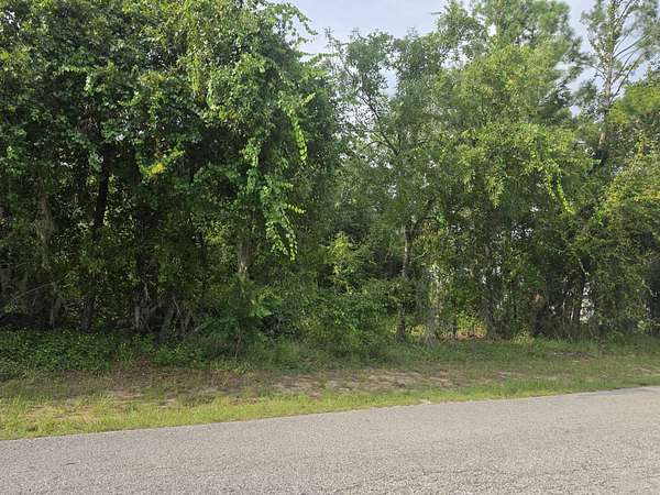 0.96 Acres of Residential Land for Sale in Hernando, Florida