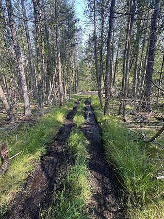 5 Acres of Residential Land for Sale in Bois Blanc Township, Michigan