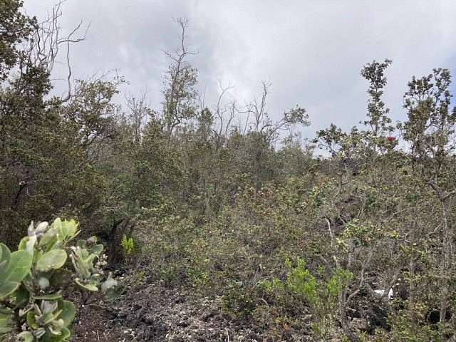 1 Acre of Land for Sale in Hawaiian Ocean View, Hawaii