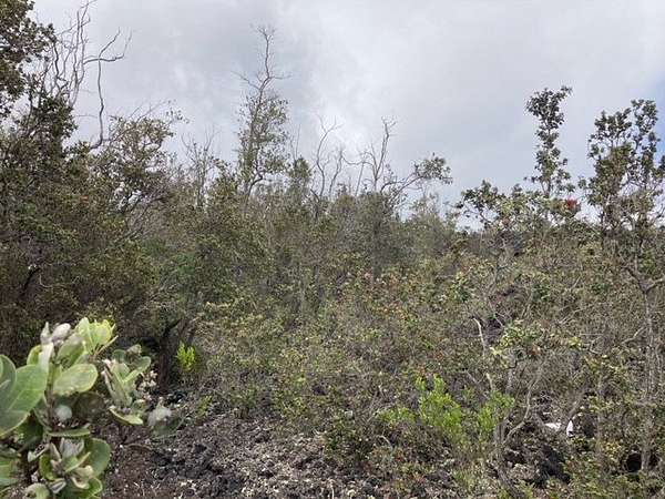 1 Acre of Land for Sale in Hawaiian Ocean View, Hawaii