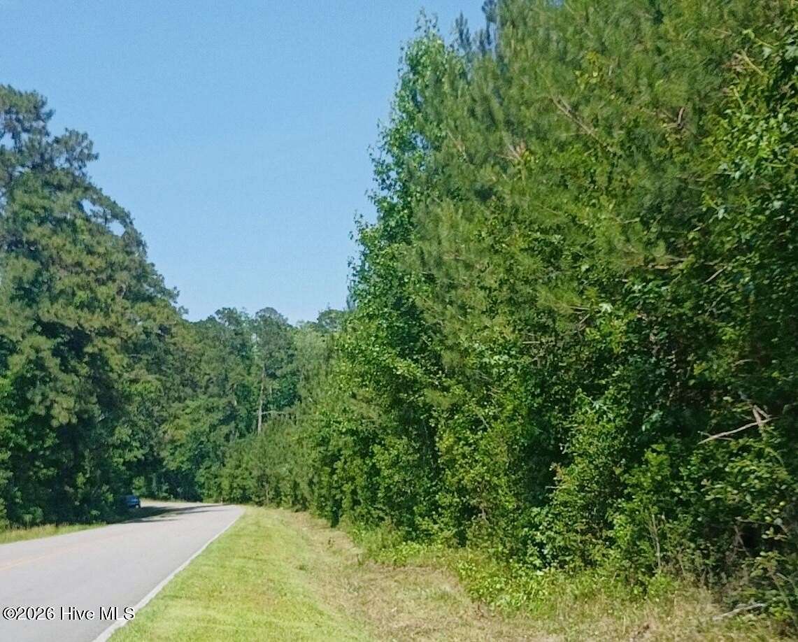 82 Acres of Land for Sale in Atkinson, North Carolina