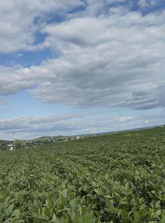1.5 Acres of Land for Sale in Sparta, Wisconsin