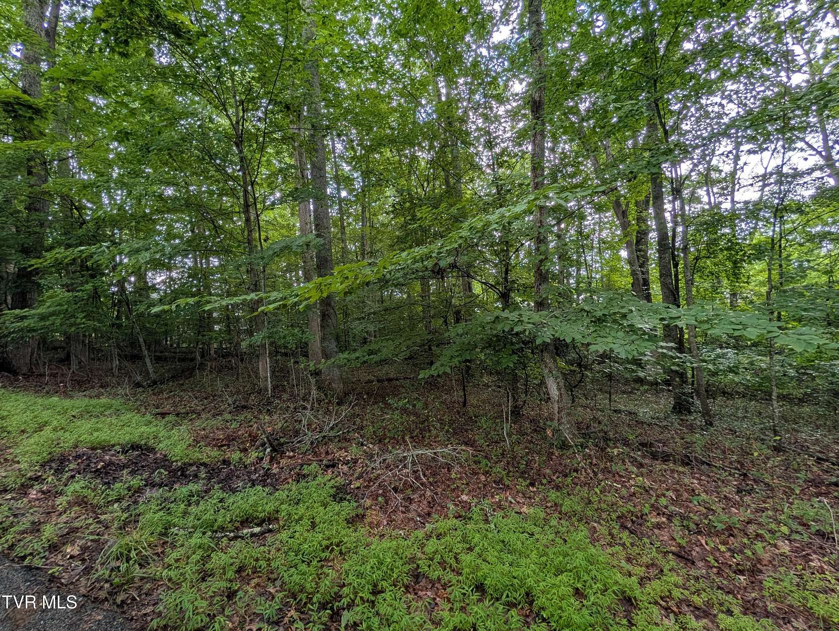 0.48 Acres of Residential Land for Sale in Wise, Virginia
