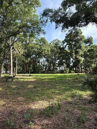0.66 Acres of Residential Land for Sale in Old Town, Florida