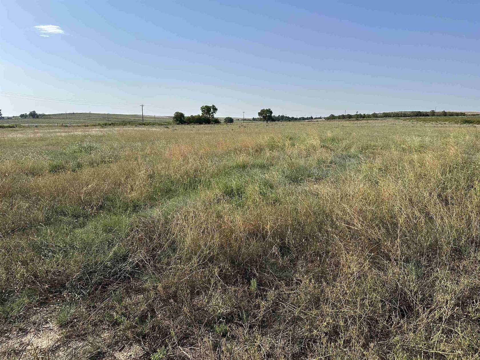 40 Acres of Land for Sale in Shattuck, Oklahoma