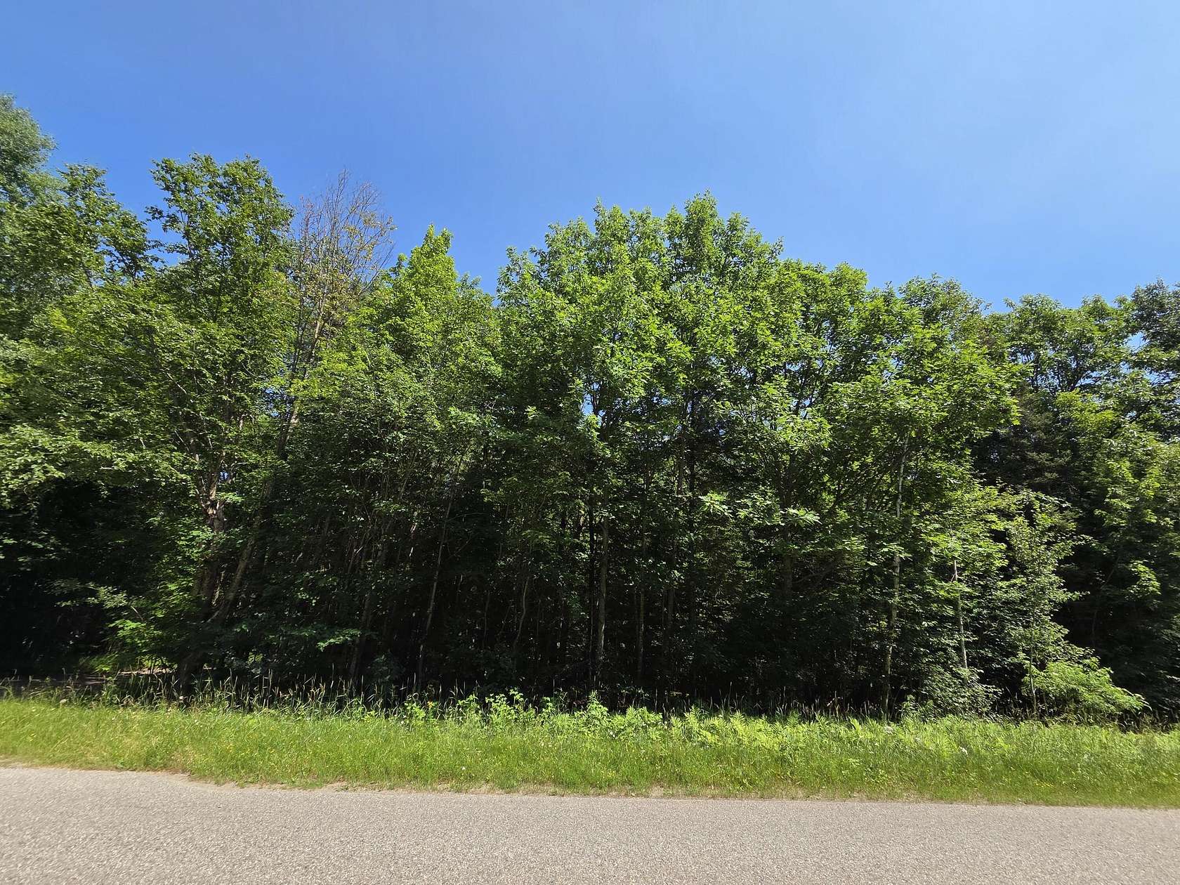 0.57 Acres of Land for Sale in Barbeau, Michigan