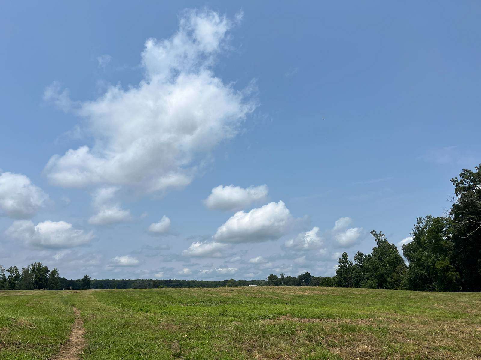 36 Acres of Agricultural & Residential Land for Sale in Dunnville, Kentucky