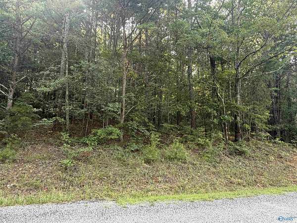 0.6 Acres of Residential Land for Sale in Leesburg, Alabama