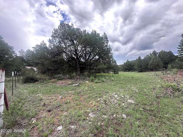 1.46 Acres of Residential Land for Sale in Greer, Arizona