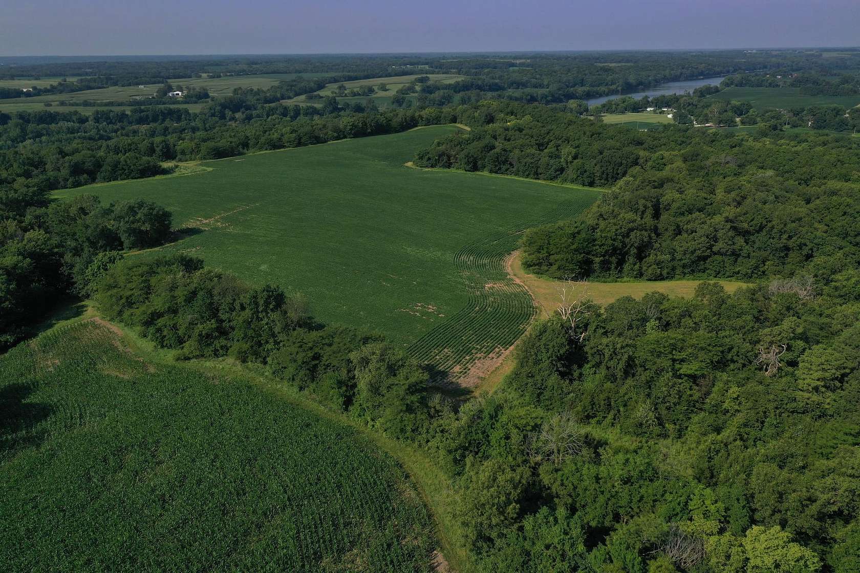 71.3 Acres of Land for Sale in Birmingham, Iowa