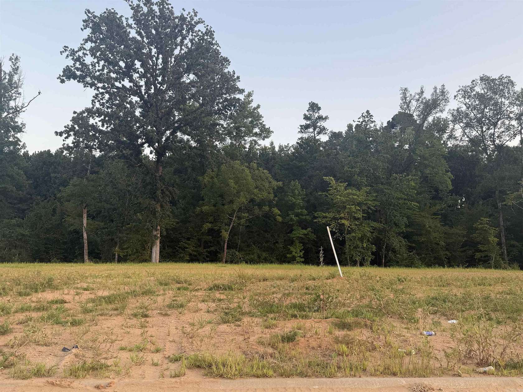 0.38 Acres of Mixed-Use Land for Sale in Arkadelphia, Arkansas