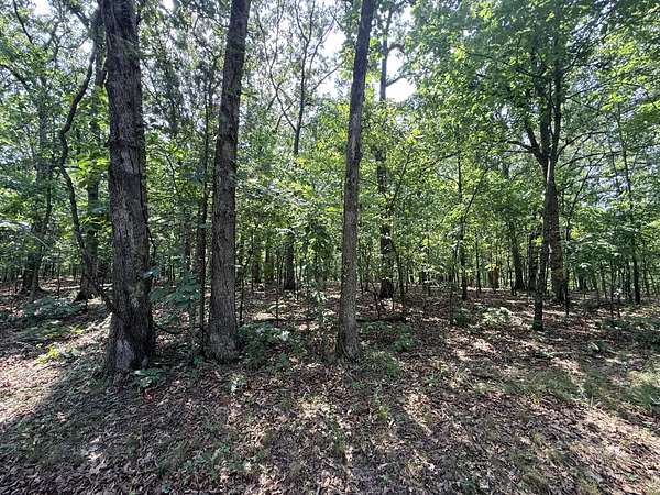 80 Acres of Recreational Land for Sale in Gravois Mills, Missouri