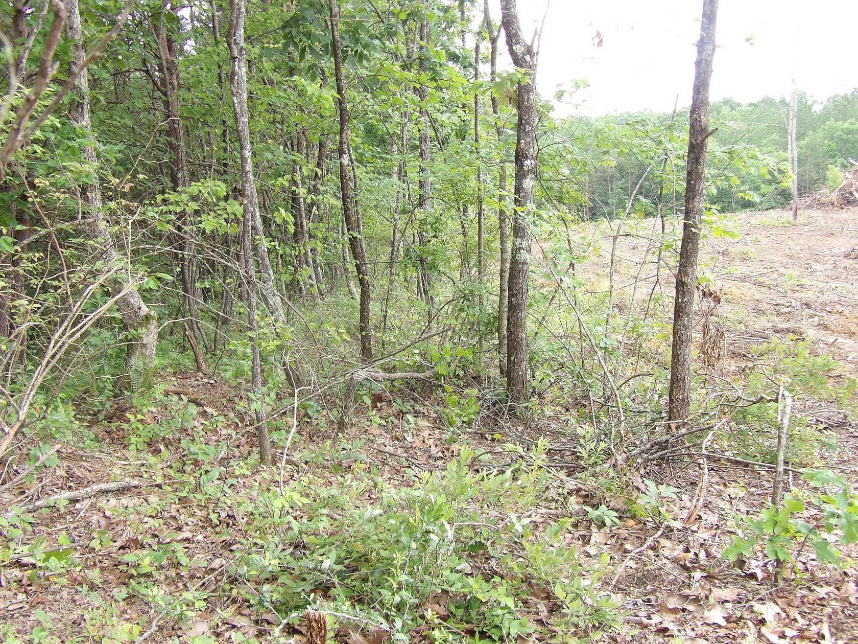 5.1 Acres of Land for Sale in Evensville, Tennessee