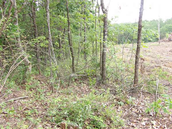5.1 Acres of Land for Sale in Evensville, Tennessee